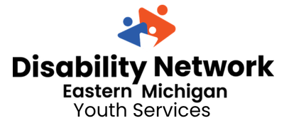 Image is of Disability Network Eastern Michigan logo specifying youth services